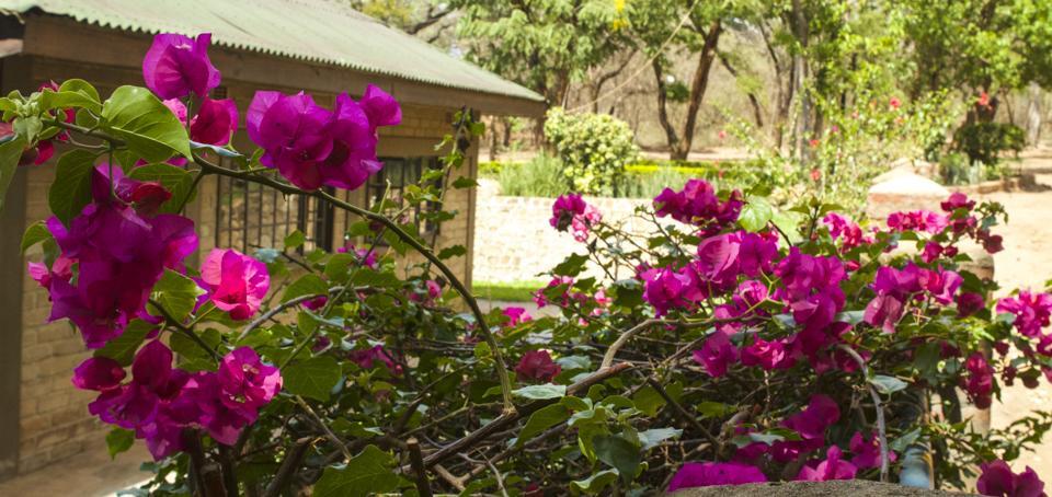 Woodlands Lilongwe Hotel Bagian luar foto