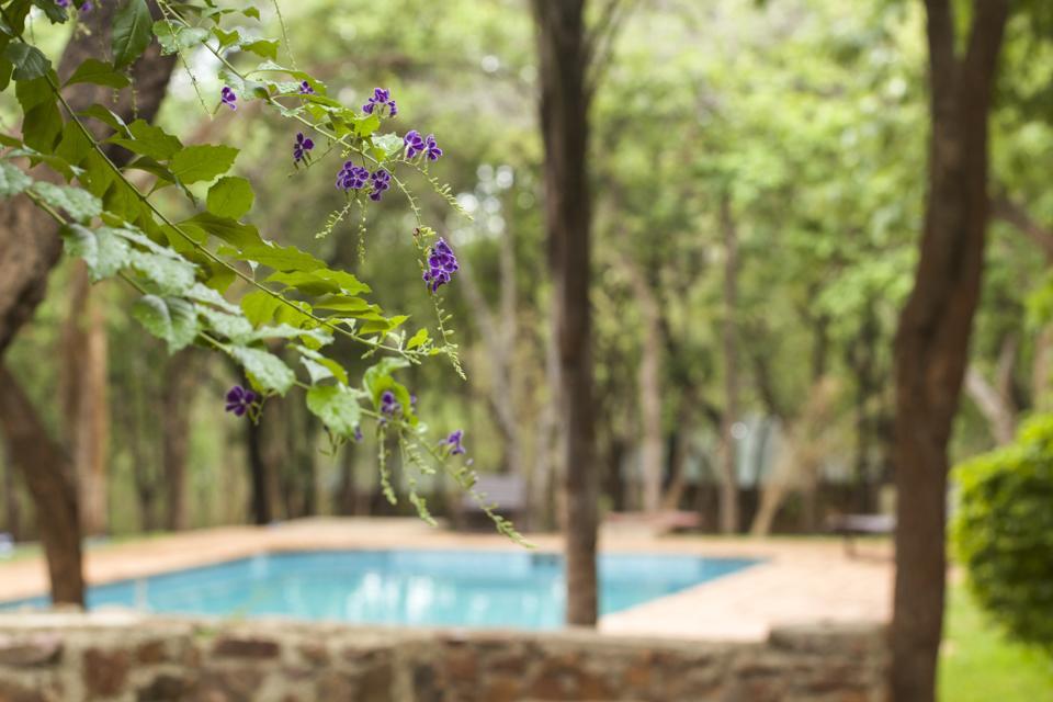 Woodlands Lilongwe Hotel Bagian luar foto